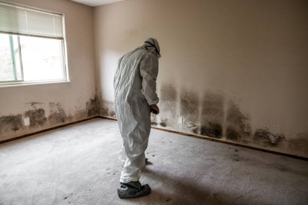 Best Residential Mold Inspection & Testing  in Brooksville, FL
